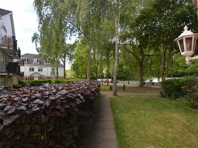 Picture 17